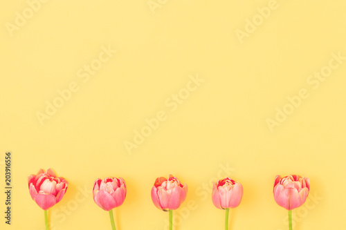 Pink flowers on yellow background. Minimal concept flat lay.