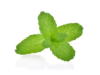 Mint leaves isolated on white background.