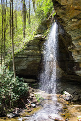 Wall Mural - Moore Cove Falls, North Carolina