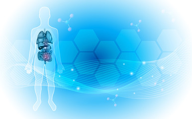 Poster - Human internal organs anatomy background