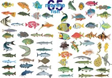 Set - Marine Fishes. In Vector Form On A Transparent Background