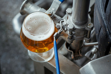 Wall Mural - Snifter beer glass at the brewery