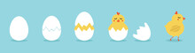Cute Vector Cartoon Illustration Of Step-by-step Process Baby Chicken Hatching From The Egg. Funny And Educational Illustration For Kids.