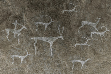 Wall Mural - An image of ancient animals on the wall of the cave. archeology, historical epoch.