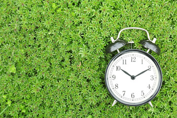 Poster - Alarm clock on green plants, outdoors. Time change concept