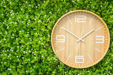 Poster - Big clock among flowers, outdoors. Time change concept