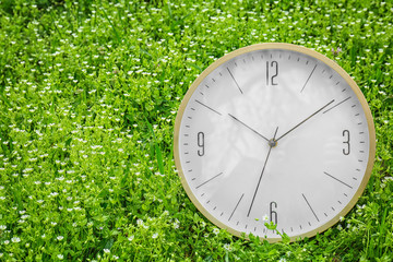 Poster - Big clock among flowers, outdoors. Time change concept