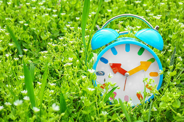 Poster - Alarm clock among flowers, outdoors. Time change concept