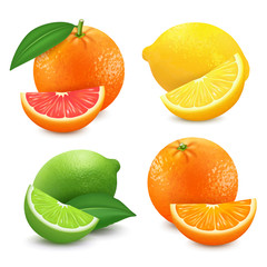 Fresh citrus fruits set. Orange grapefruit lemon lime isolated vector illustration. 3d realistic vector