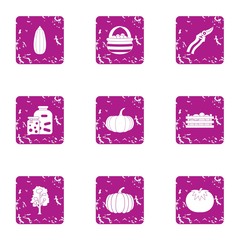 Poster - Autumn harvest icons set, grunge style