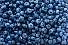 Macro Texture Of Blueberry Berries Close Up. Border Design. Summer, Vitamin, Vegan, Vegetarian Concept. Healthy Food. Fresh Blueberries Background With Copy Space For Your Text