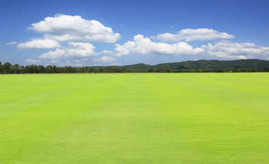 Sticker - green field and blue sky