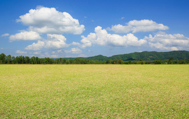 Sticker - green field and blue sky