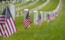Small American Flags And Headstones At National Cemetary- Memorial Day Display