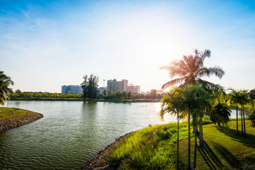 Canvas Print - Sunset with lake in Public Park landscape