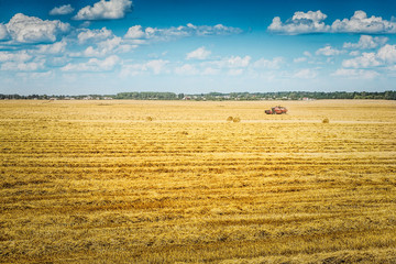 Wall Mural - solitude combine harvester on wheat field at beautiful suuny day