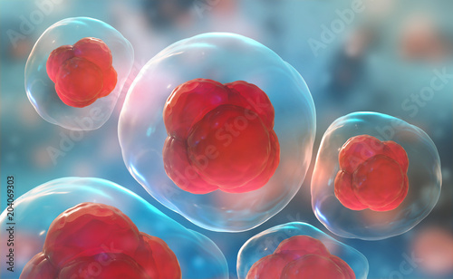 Cells under a microscope. Research of stem cells. Cellular Therapy. Cell divi...