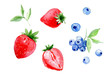 Set of watercolor strawberry and blueberry on white background
