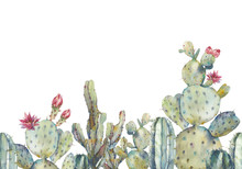 Watercolor Cactus Seamless Pattern. Hand Drawn Repeating Ornament With Desert Plants On White Background. Flowering Cacti Banner Design