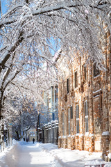 snow on the branches and houses winter in the city