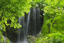 Waterfall In Green Forest With Fresh Water