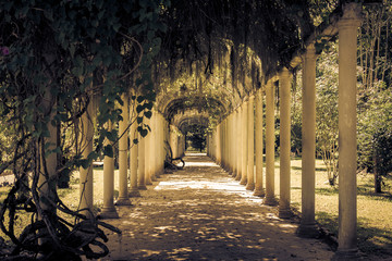 Old building, botanical garden, rio de janeiro, brazil. aged scenery. shadow and light. tunnel. old path.