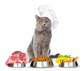 Poster - Adult cat in chef's hat with food for pets. isolated on white background