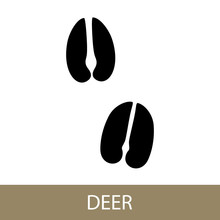 Track Of Forest Animal, Trace Of A Deer Animal , Vector Illustration