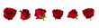 Set of six beautiful red rose flowerheads with sepals isolated on white background.
