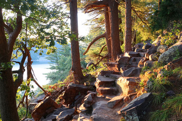 Wall Mural - beautiful wisconsin summer nature background. ice age hiking trail and stone stairs in sunlight duri