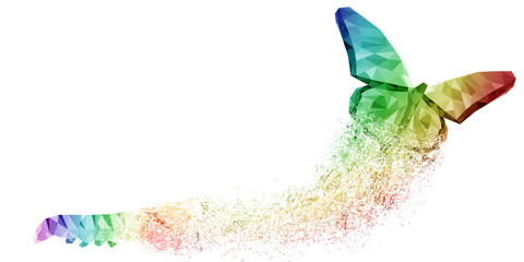 White background of rainbow butterfly transformation liberate human right of LGBT freedom concept. Proud and love to be. Use to celebrate gay pride, coming out of true gender and sexuality equality
