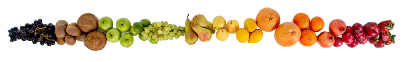 Food fruit banner