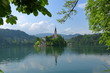 Pejzaż z jeziorem, wysepką z kościołem i gęstą roślinnością w miasteczku Bled, Słowenia, w wodzie odbija się wieża kościoła, zieleń i niebo, na pierwszym planie gałęzie drzew, błękitne niebo