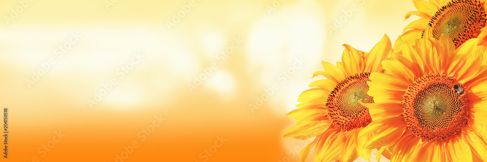 Wunderschöne Sonnenblume mit einer Biene - obrazy, fototapety, plakaty 