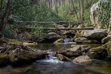 Log Bridge Across A River In A Valley In Upstate South Carolina