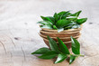 Fresh curry leaves in coconut bowl on wooden background