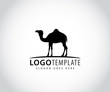 camel in horizon line vector icon logo design
