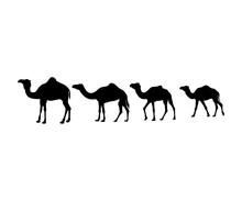 Camel Silhouette Vector Icon Logo Design Set