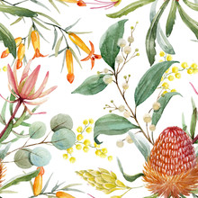 Watercolor Australian Banksia Floral Pattern