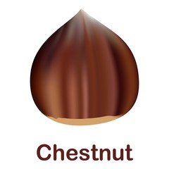 Poster - Chestnut icon. Realistic illustration of chestnut vector icon for web design isolated on white background