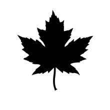 Icon Of A Maple Leaf. Raster Illustration
