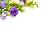 Flowers composition on white background