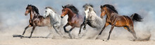 Horses Run Fast In Sand Against Dramatic Sky