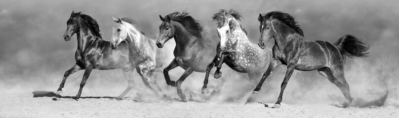 Wall Mural - horses run fast in sand against dramatic sky. black and white