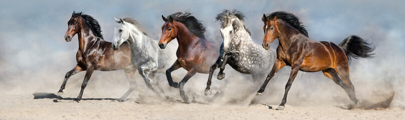 Wall Mural - horses run fast in sand against dramatic sky