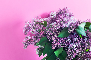 Wall Mural - lilac bouquet on pink background with blank space.