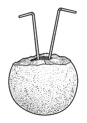 Coconut with straw illustration, drawing, engraving, ink, line art, vector