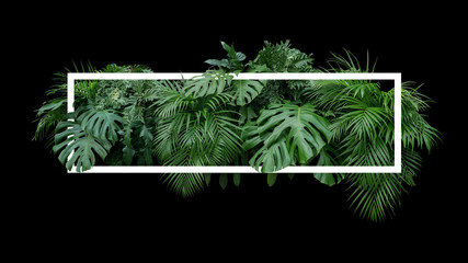 Sticker - Tropical leaves foliage jungle plant bush nature backdrop with white frame on black background.