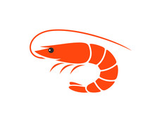 Shrimp Logo. Isolated Shrimp On White Background