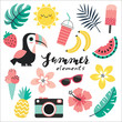 Cute vector set of summer holiday cartoon elements in blush pink and mint green with toucan, tropical leaves and flowers, summer fruits and ice creams, camera and sunglasses. Isolated on white.